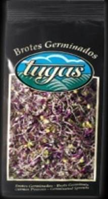 GERMINADO COL LOMBARDA 80 GRS "TUGAS"X6 Orig.España