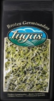 GERMINADO DE PUERRO 80 GRSX6