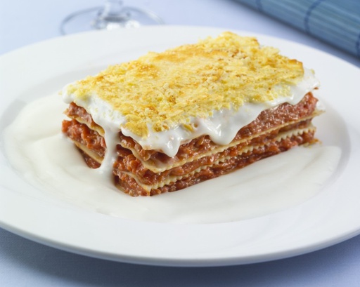 [11.02.42108] LASAGNE BOLOGNESE TUTTI (15X 300 GRS)