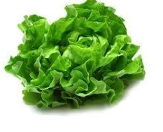 [18.97.0021] BATAVIA UNIDAD